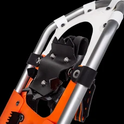 Back Country 25 - Truger - Back Country 25