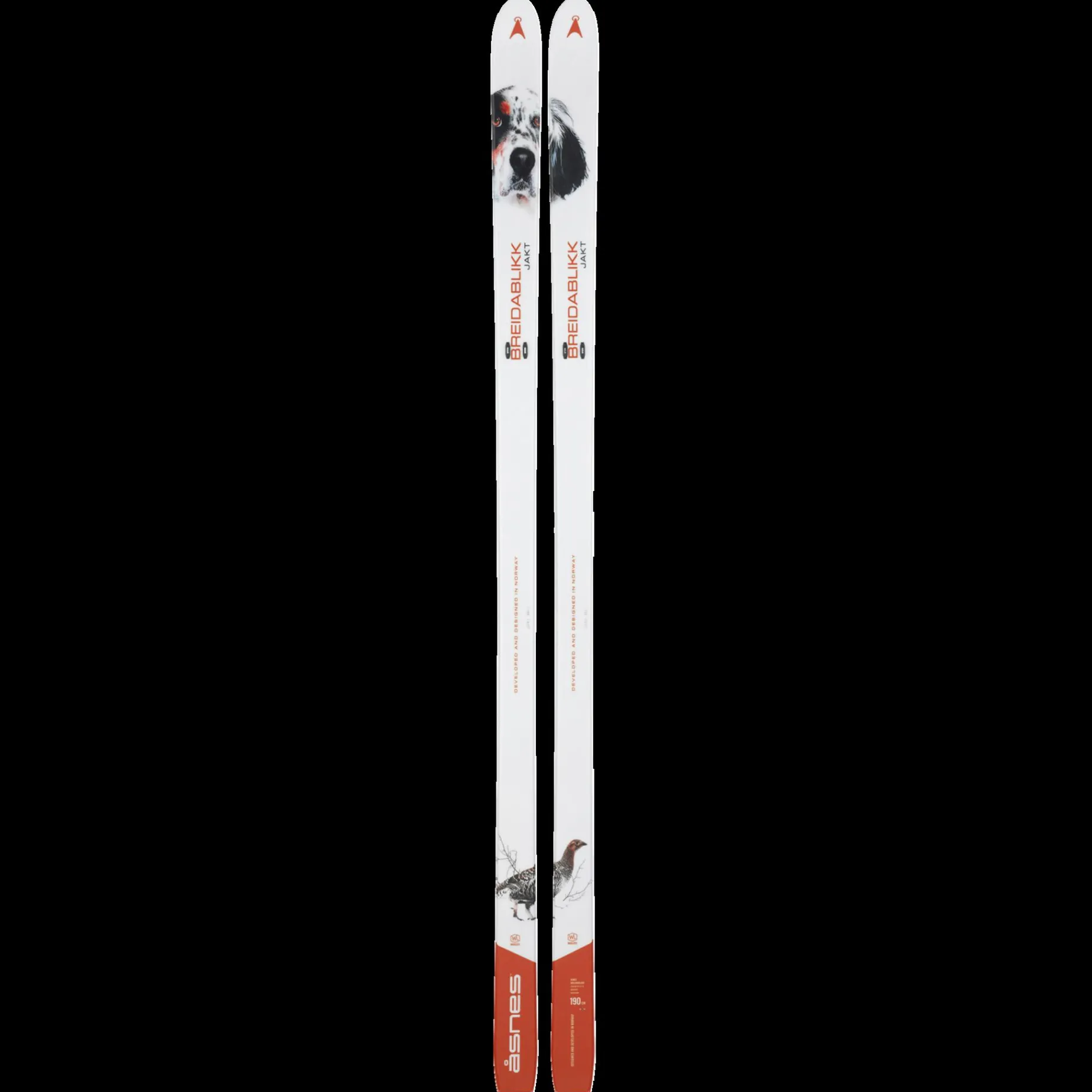 BC Skis Breidablikk Hunter Waxless 24/25, fjellski uten stålkanter - Fjellski - BC Skis Breidablikk Hunter Waxless 24/25, fjellski uten stålkanter