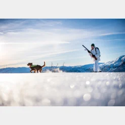 BC Skis Kongsvold Hunter 24/25, fjell- og jaktski uten stålkant unisex - Fjellski - BC Skis Kongsvold Hunter 24/25, fjell- og jaktski uten stålkant unisex