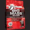 Big Mass Gainer 1kg, proteinpulver - Gainer - Big Mass Gainer 1kg, proteinpulver