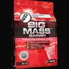 Big Mass Gainer 1kg, proteinpulver - Gainer - Big Mass Gainer 1kg, proteinpulver