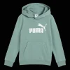 Essential No. 1 Logo Hoodie TR PS, hettegenser, barn - Collegegenser & Hettegenser - Essential No. 1 Logo Hoodie TR PS, hettegenser, barn