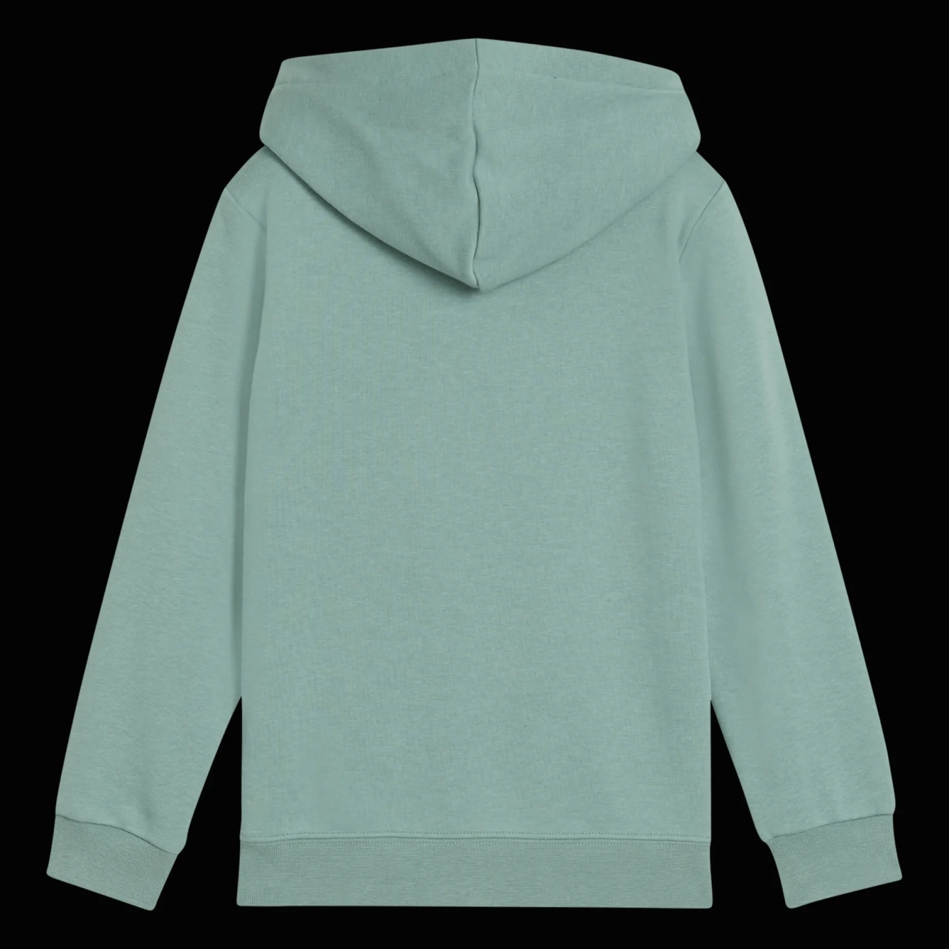 Essential No. 1 Logo Hoodie TR PS, hettegenser, barn - Collegegenser & Hettegenser - Essential No. 1 Logo Hoodie TR PS, hettegenser, barn