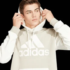 Essentials Fleece Big Logo Hoodie, hettegenser, herre - Hettegenser - Essentials Fleece Big Logo Hoodie, hettegenser, herre