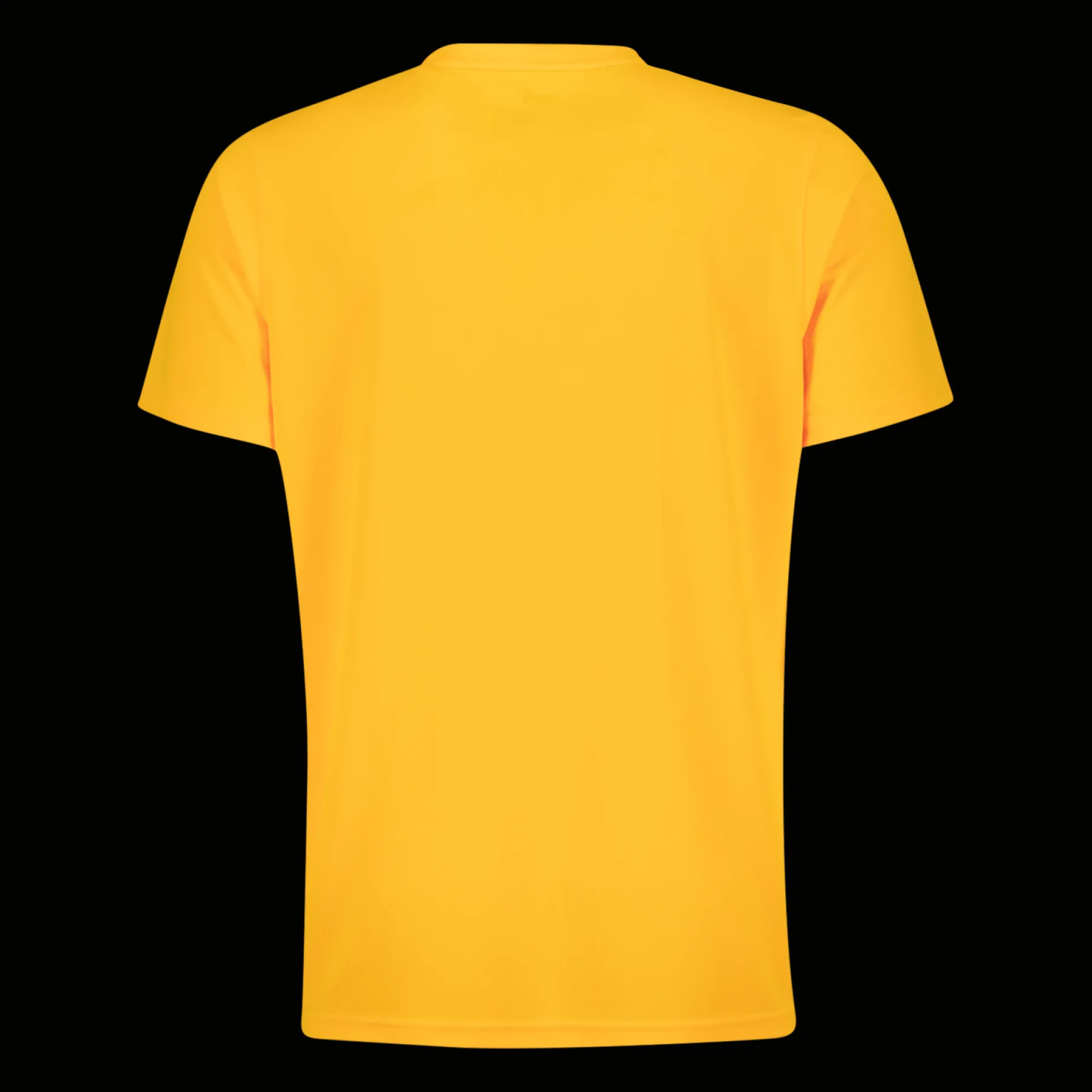 Performance Short Sleeve Tee, t-skjorte, herre - Trenings T-Skjorte - Performance Short Sleeve Tee, t-skjorte, herre