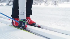 Rottefella MOVE Switch Kit NIS 2.0 & 3.0 24/25, binding med adapterplate - Langrennsbinding - Rottefella MOVE Switch Kit NIS 2.0 & 3.0 24/25, binding med adapterplate