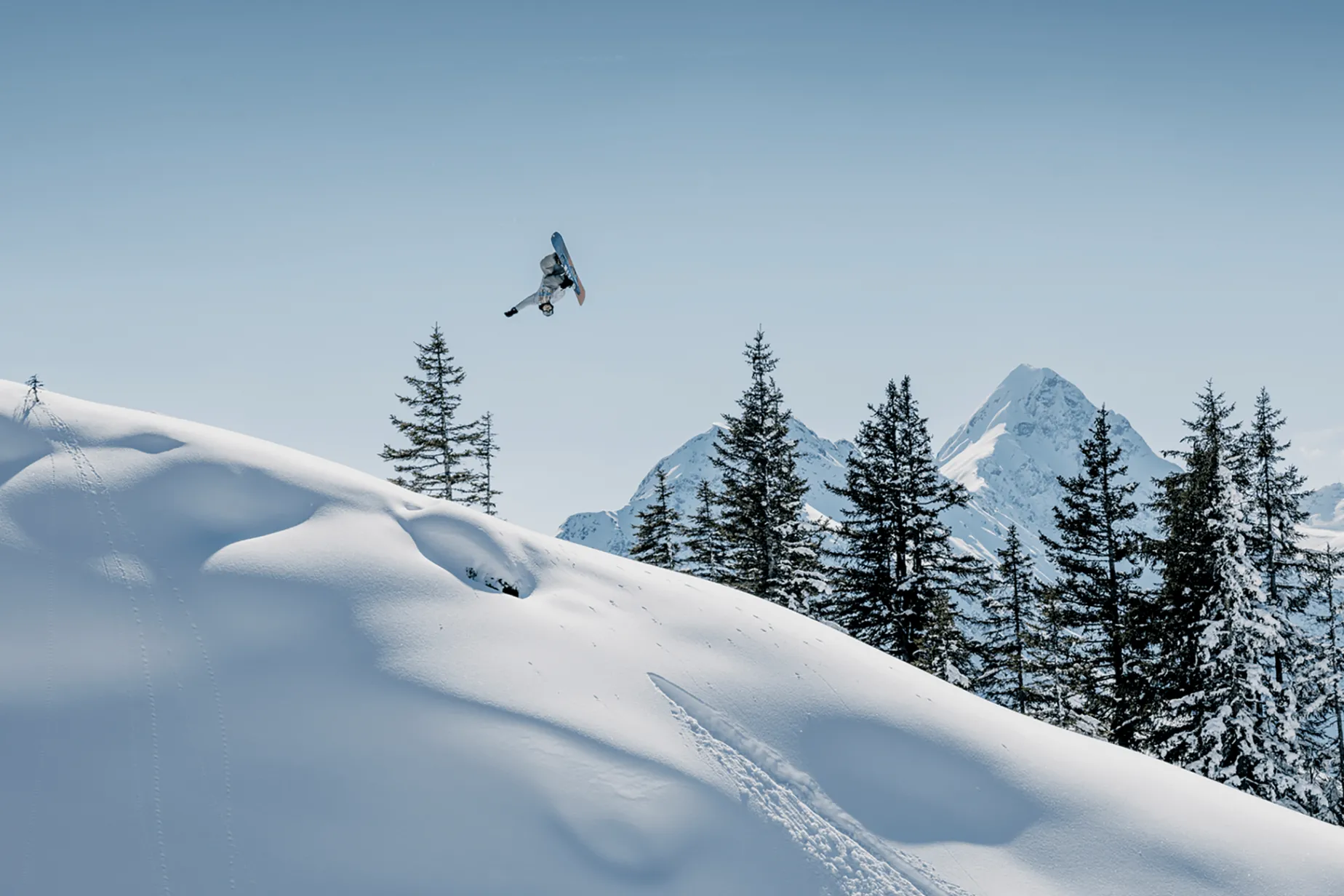 Snowboard Cheap Thrills 24/25, snowboard, unisex - Snowboard - Snowboard Cheap Thrills 24/25, snowboard, unisex