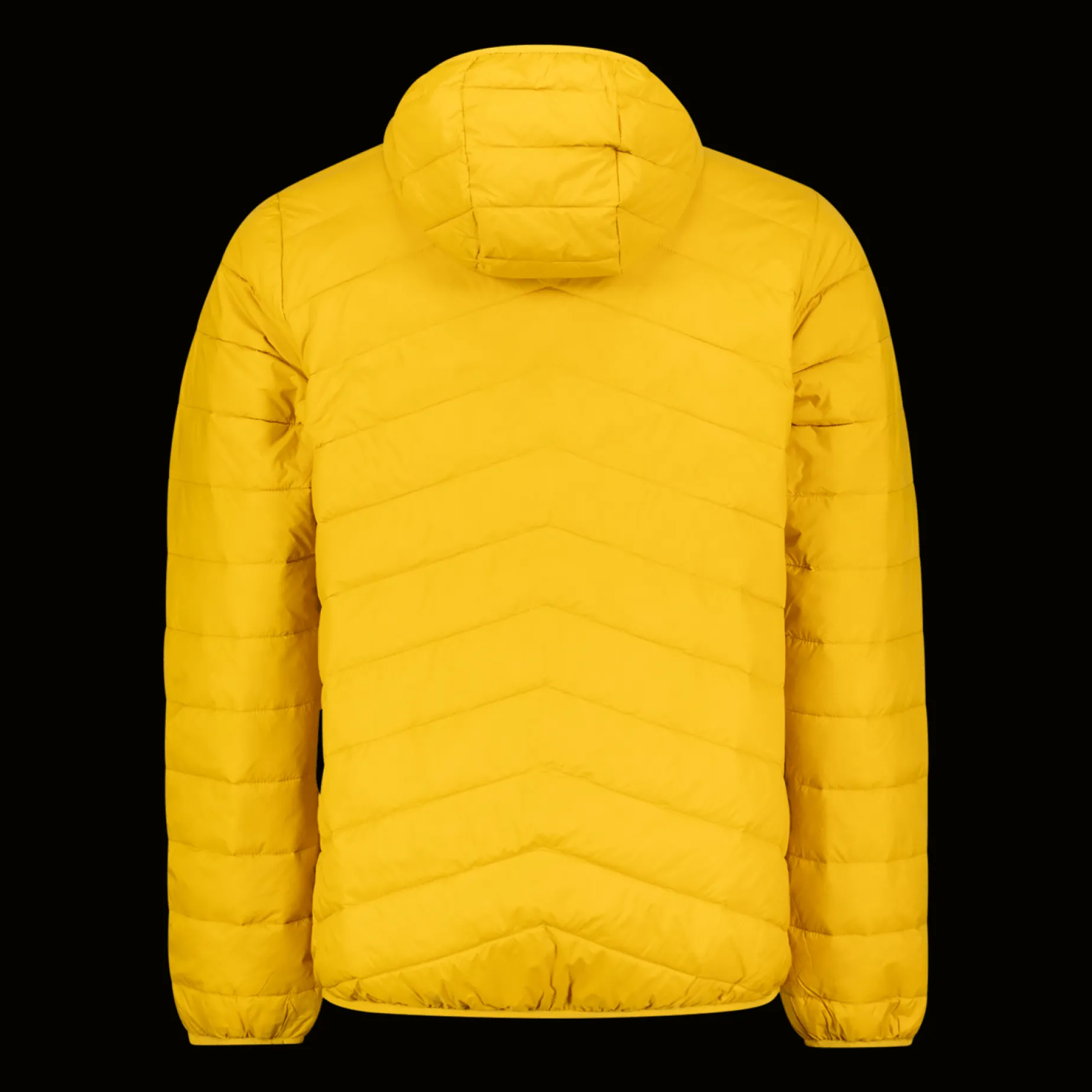 Stokke Rec Hood Down Jacket, dunjakke, herre - Dunjakke - Stokke Rec Hood Down Jacket, dunjakke, herre