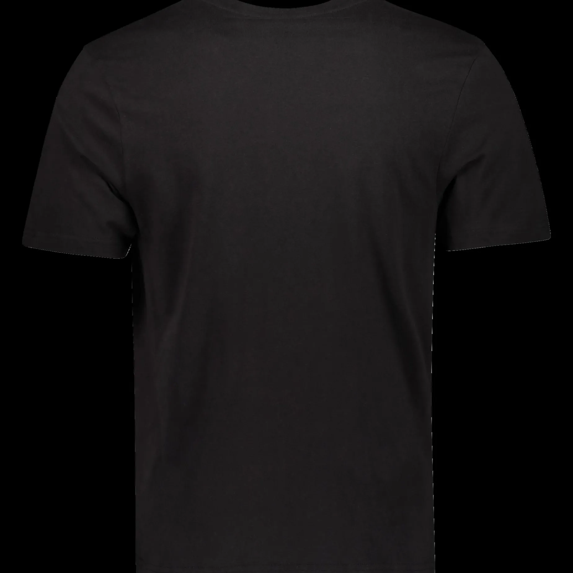 Basic Tee, t-skjorte herre - Fritids T-Skjorte - Basic Tee, t-skjorte herre
