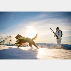 BC Skis Kongsvold Hunter 24/25, fjell- og jaktski uten stålkant unisex - Fjellski - BC Skis Kongsvold Hunter 24/25, fjell- og jaktski uten stålkant unisex