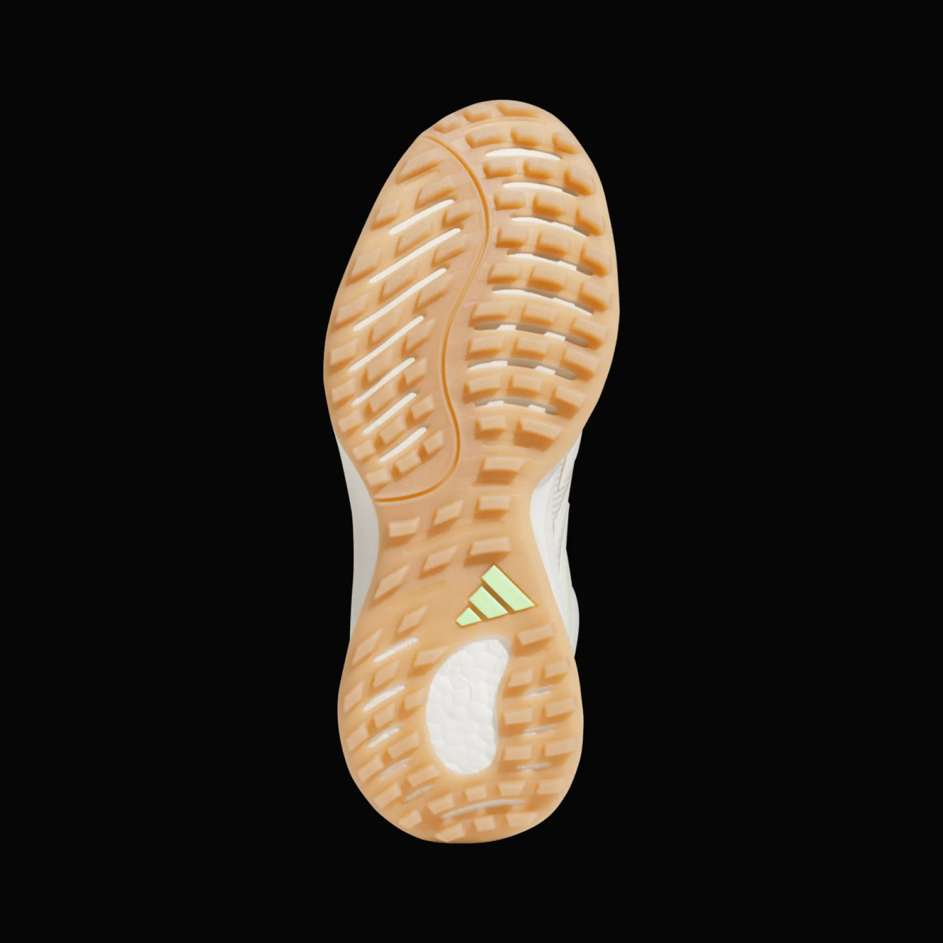 Zoysia, golfsko, dame - Golfsko - Zoysia, golfsko, dame